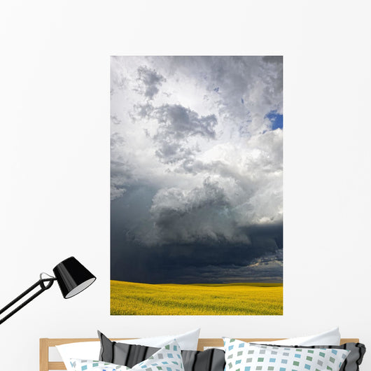 Storm clouds gather over a sunlit canola field in southern Alberta Wall Mural