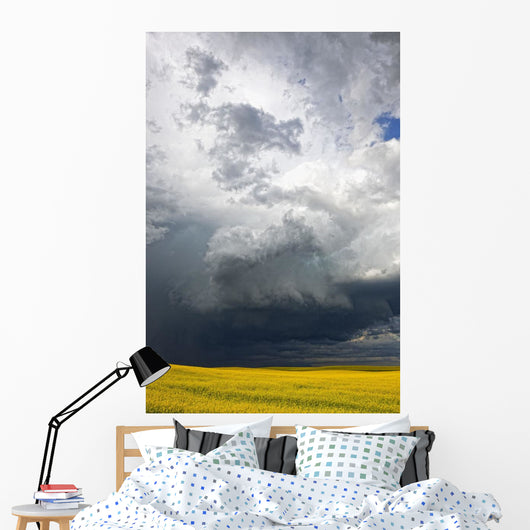 Storm clouds gather over a sunlit canola field in southern Alberta Wall Mural