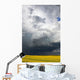 Storm clouds gather over a sunlit canola field in southern Alberta Wall Mural