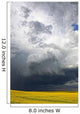 Storm clouds gather over a sunlit canola field in southern Alberta Wall Mural