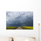 Storm clouds gather over a sunlit canola field and road Wall Mural