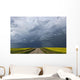 Storm clouds gather over a sunlit canola field and road Wall Mural