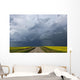 Storm clouds gather over a sunlit canola field and road Wall Mural