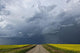 Storm clouds gather over a sunlit canola field and road Wall Mural