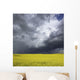 Storm clouds gather over a sunlit canola field in southern Alberta Wall Mural