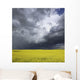Storm clouds gather over a sunlit canola field in southern Alberta Wall Mural
