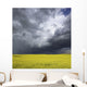 Storm clouds gather over a sunlit canola field in southern Alberta Wall Mural
