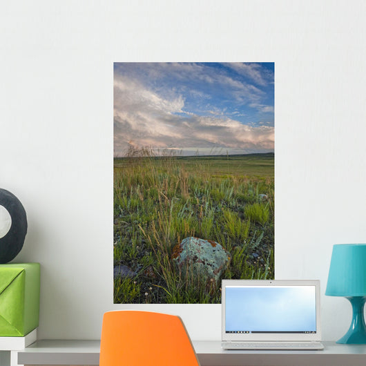 Sunset over the prairies in Grasslands National Park Wall Mural