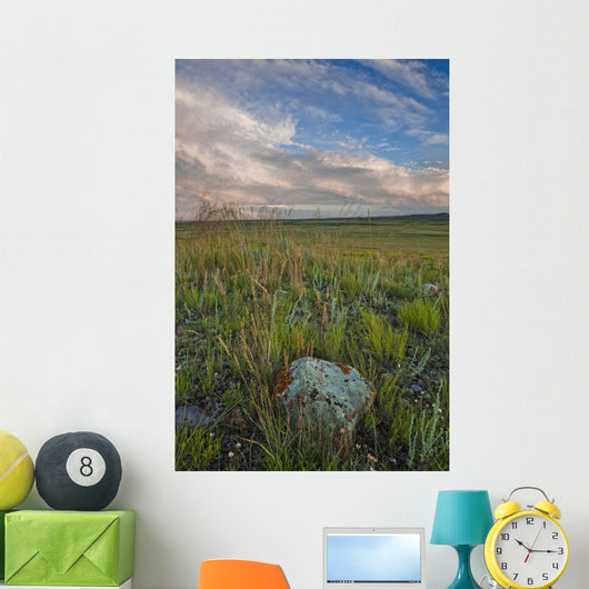Sunset over the prairies in Grasslands National Park Wall Mural