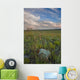 Sunset over the prairies in Grasslands National Park Wall Mural