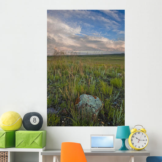 Sunset over the prairies in Grasslands National Park Wall Mural