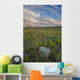 Sunset over the prairies in Grasslands National Park Wall Mural