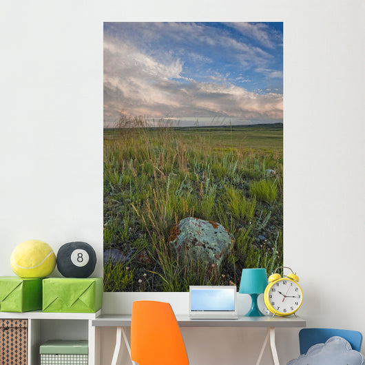 Sunset over the prairies in Grasslands National Park Wall Mural