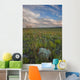 Sunset over the prairies in Grasslands National Park Wall Mural