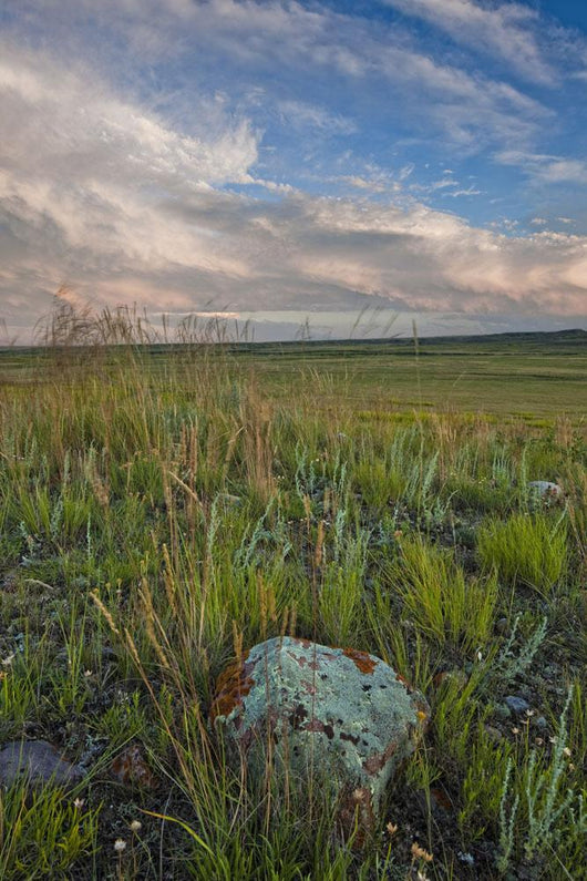 Sunset over the prairies in Grasslands National Park Wall Mural