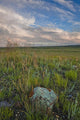 Sunset over the prairies in Grasslands National Park Wall Mural
