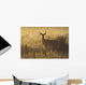Mule deer backlit at sunrise in Grasslands National Park Wall Mural