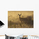 Mule deer backlit at sunrise in Grasslands National Park Wall Mural