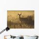 Mule deer backlit at sunrise in Grasslands National Park Wall Mural