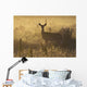 Mule deer backlit at sunrise in Grasslands National Park Wall Mural