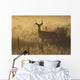 Mule deer backlit at sunrise in Grasslands National Park Wall Mural