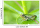 Young gray tree frog on leaf Wall Mural