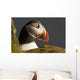 Portrait of a colorful puffin Wall Mural