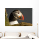 Portrait of a colorful puffin Wall Mural