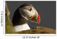 Portrait of a colorful puffin Wall Mural