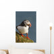 Portrait of a colorful puffin Wall Mural