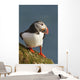 Portrait of a colorful puffin Wall Mural