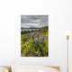 Wildflowers on the roadside along the shores of Dezadeash Lake Wall Mural