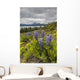 Wildflowers on the roadside along the shores of Dezadeash Lake Wall Mural