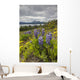 Wildflowers on the roadside along the shores of Dezadeash Lake Wall Mural