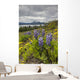 Wildflowers on the roadside along the shores of Dezadeash Lake Wall Mural