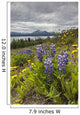 Wildflowers on the roadside along the shores of Dezadeash Lake Wall Mural