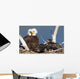 Mature bald eagle and chicks in a nest Wall Mural