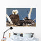 Mature bald eagle and chicks in a nest Wall Mural