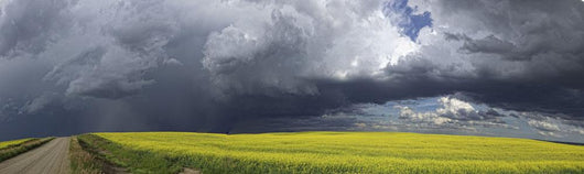 Panoramic of storm clouds gather Wall Mural
