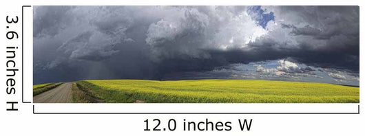 Panoramic of storm clouds gather Wall Mural