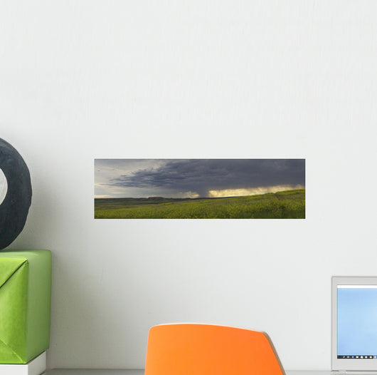 Rain from a thunderstorm falls over Grasslands National Park Wall Mural