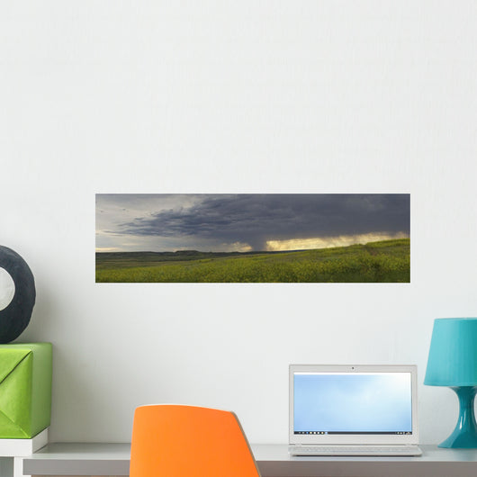 Rain from a thunderstorm falls over Grasslands National Park Wall Mural