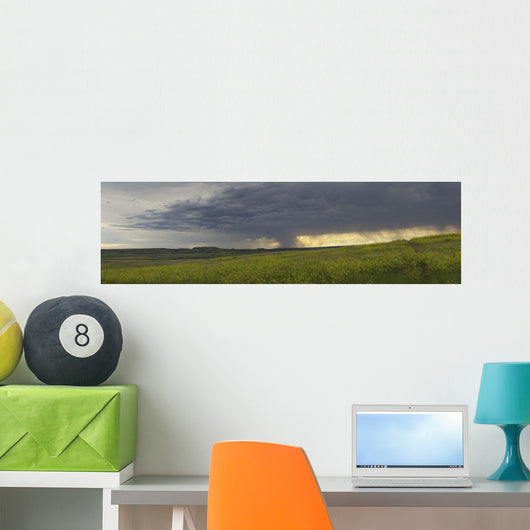 Rain from a thunderstorm falls over Grasslands National Park Wall Mural