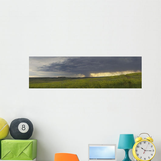 Rain from a thunderstorm falls over Grasslands National Park Wall Mural