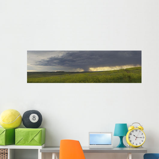Rain from a thunderstorm falls over Grasslands National Park Wall Mural