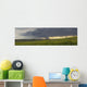 Rain from a thunderstorm falls over Grasslands National Park Wall Mural