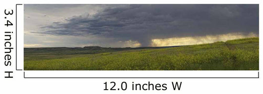 Rain from a thunderstorm falls over Grasslands National Park Wall Mural