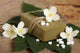 Bar Natural Handmade Soap