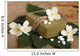 Bar Natural Handmade Soap