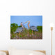 Great Blue Herons Nest Wall Mural